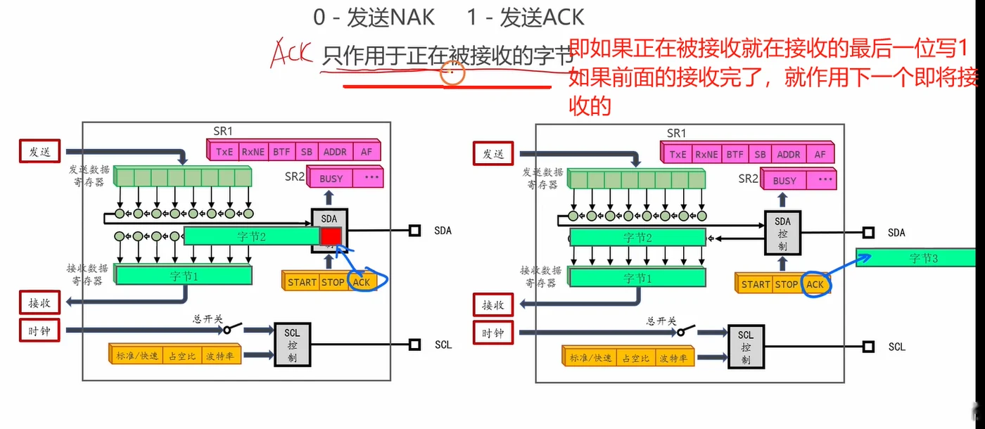 ACK 位的取值（0=NAK、1=ACK）与它的作用对象：它决定的是"当前/下一个正在接收的字节"结束后回什么，所以必须提前设置