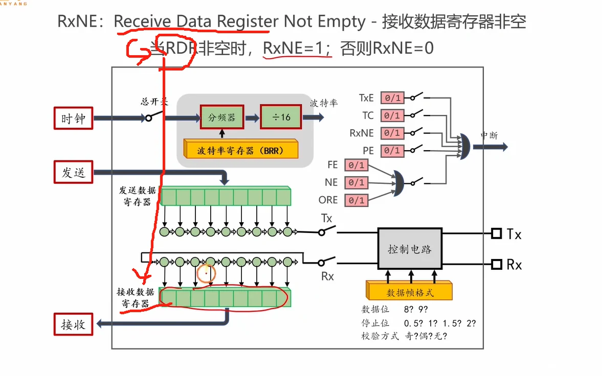 RXNE 定义图：红箭头指向接收数据寄存器，RDR 非空则 RXNE=1