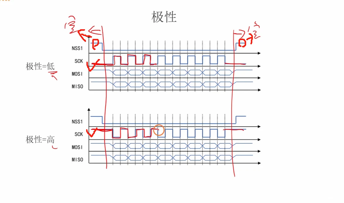 极性怎么看：NSS 窗口两侧（空闲段）SCK 停在低电平=低极性，停在高电平=高极性