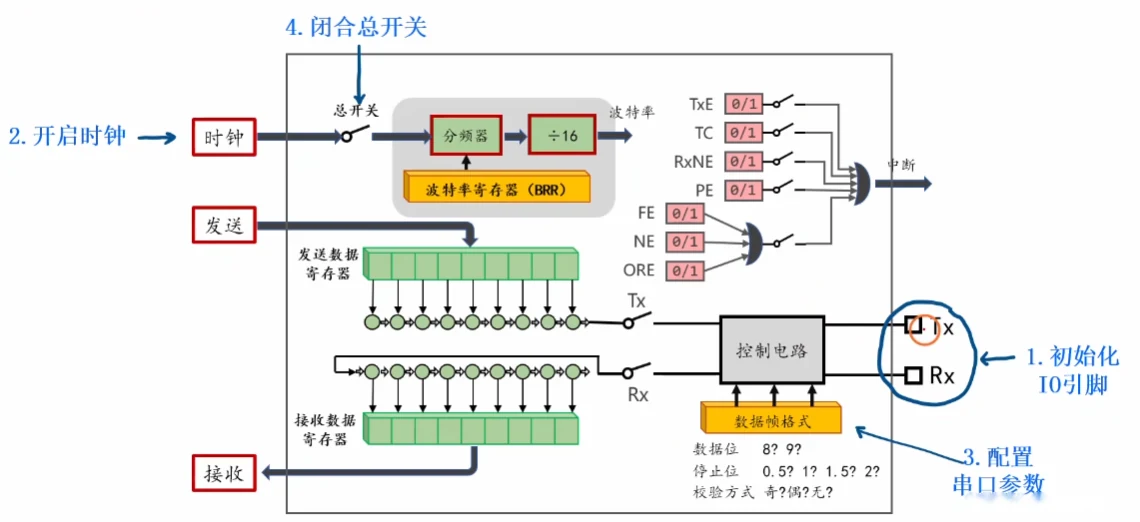USART 结构四步配置法：IO→时钟→帧参数(BRR/控制寄存器)→总开关