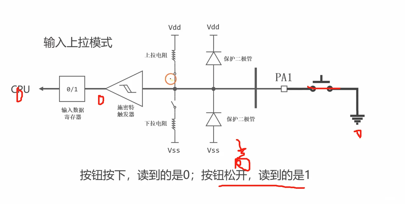 输入上拉模式的完整内部结构：上拉电阻接通、下拉断开，经施密特触发器进输入数据寄存器；按钮接地后按下为 0、松开为 1