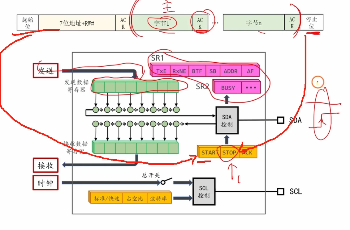 I2C 写操作的帧结构（上）与外设内部通路的对应关系：地址是"7 位地址 + RW# 位"共 9 位一拍，每字节后跟一个 ACK