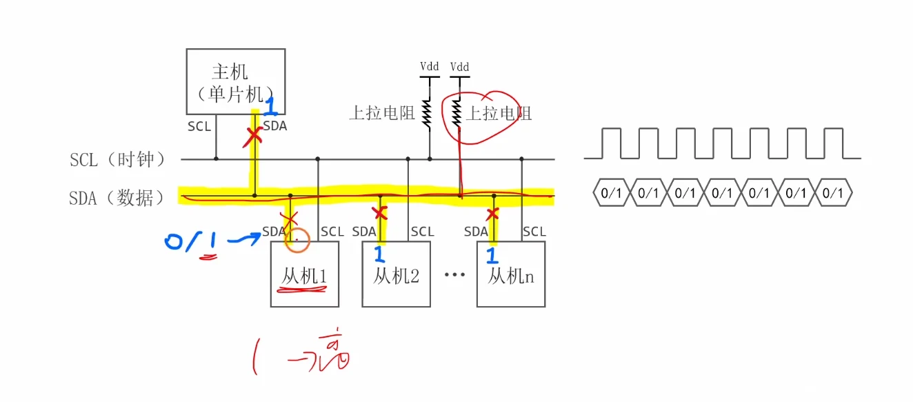 从机发送数据（主机接收）：从机 1 往自己 SDA 引脚发 0/1，从机 2..n 与主机的 SDA 都置 1（高阻），上拉电阻保证松手时为高；右侧 SCL 8 个周期对应 SDA 8 位
