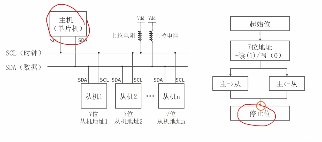 I2C 通信基本流程：起始位 → 7 位地址+读(1)/写(0) → 主→从 或 主←从 → 停止位；红圈圈出主机（唯一发起者）与停止位（唯一结束者）