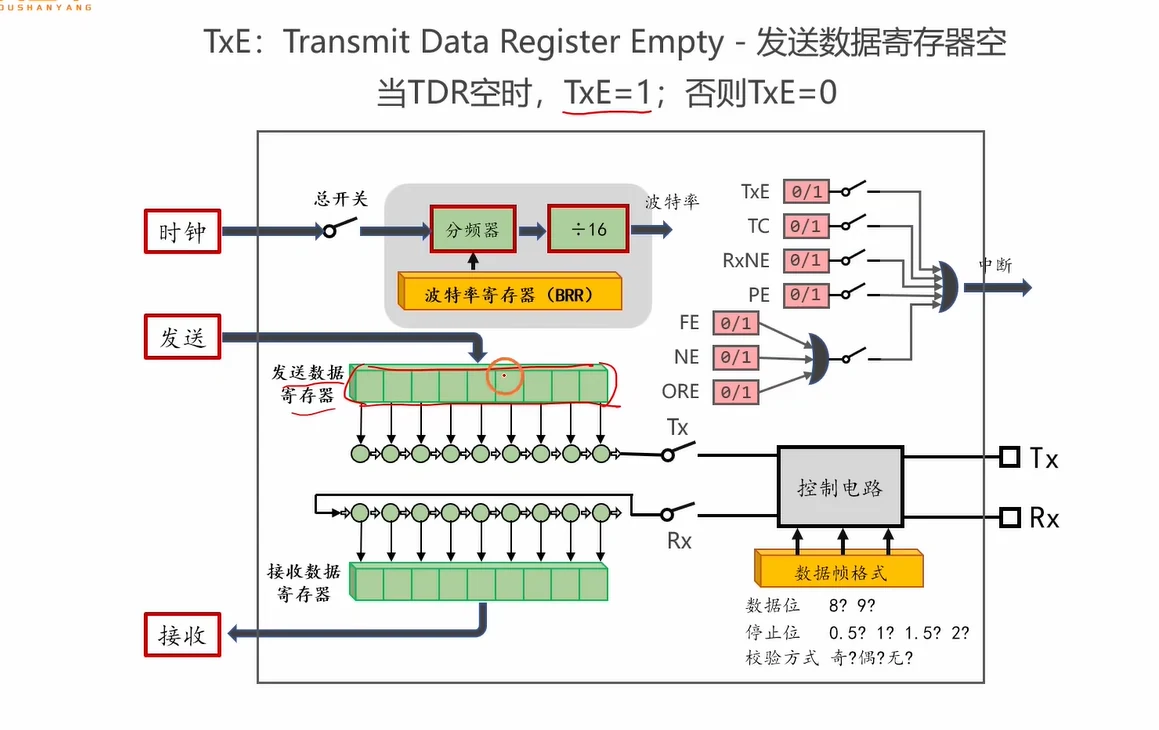 TXE 定义图：TXE = Transmit Data Register Empty，当 TDR（发送数据寄存器）空时 TXE=1，否则 TXE=0；红圈圈出的就是发送数据寄存器