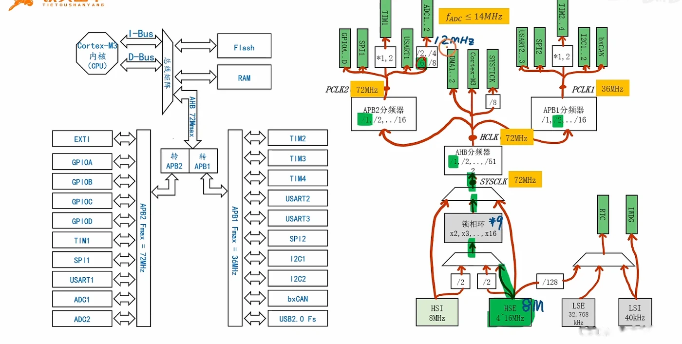 时钟树：HSE×9→SYSCLK 72MHz→PCLK2 72MHz，ADC 取自 PCLK2 经 6 分频 = 12MHz，黄框标注 fADC ≤ 14MHz