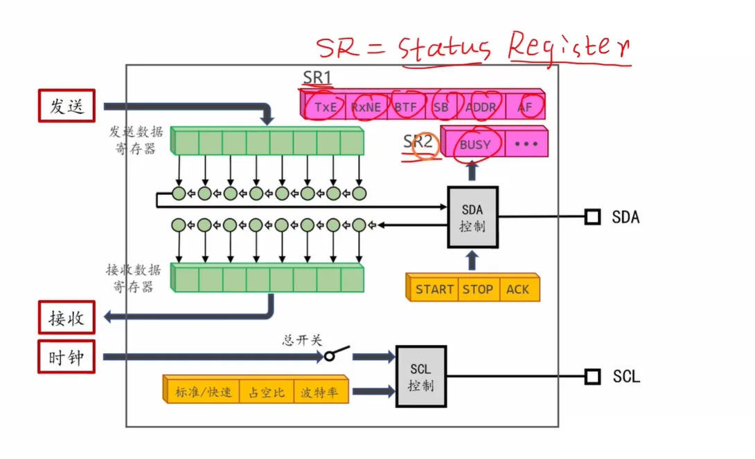 I2C 内部框图：SR1 六标志、SR2 的 BUSY、START/STOP/ACK 控制位、总开关与 SCL 控制