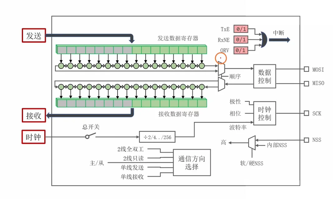 SPI 内部结构：收发两级缓冲 + TxE/RXNE/OVR + 分频与时钟控制 + NSS
